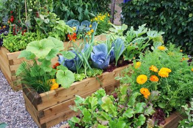 6 idées pour concevoir un jardin avec des fleurs