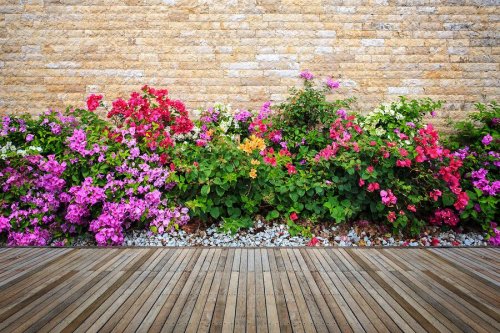 jardin avec des fleurs et des pierres