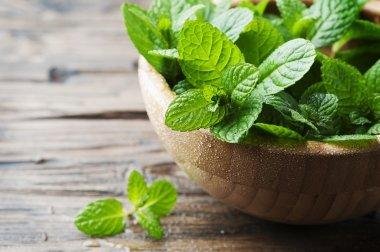 Halitose : 3 remèdes naturels à base de menthe