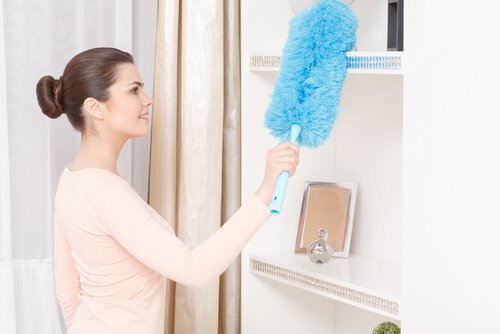 5 façons de purifier l'air de votre maison naturellement