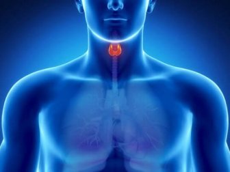 L'eau de coco, un traitement pour stimuler la thyroïde