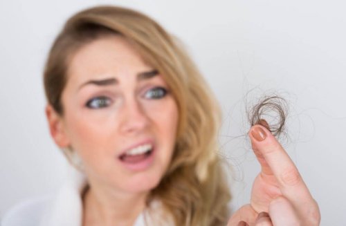 les champignons permettent de renforcer les cheveux et les ongles