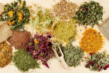 Des plantes médicinales pour soulager les maux d'estomac