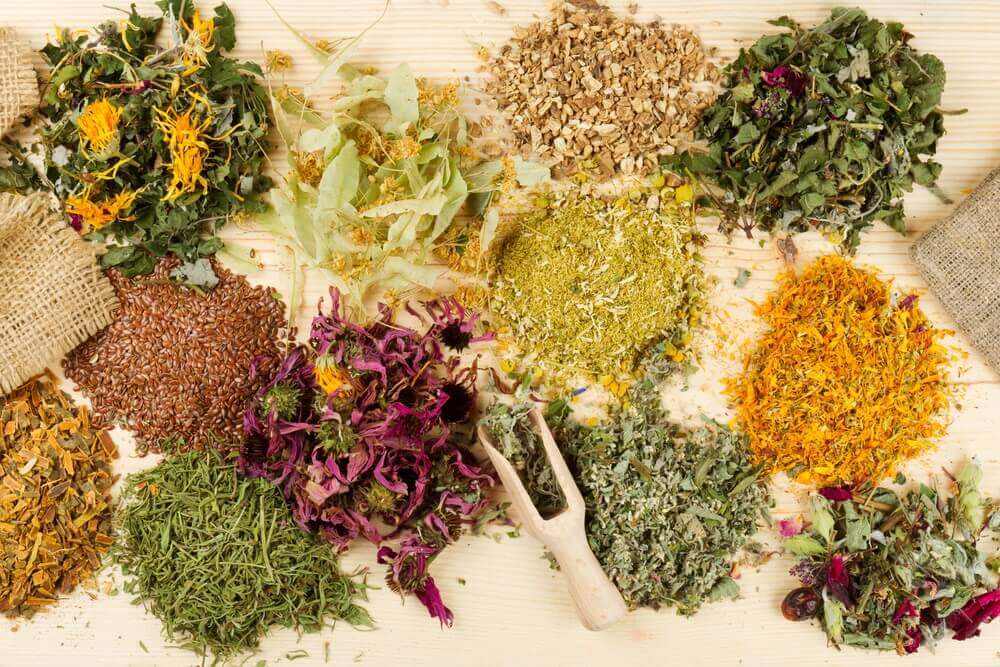 Des plantes médicinales pour soulager les maux d’estomac