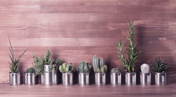 3 idées ingénieuses pour recycler les boîtes de conserve