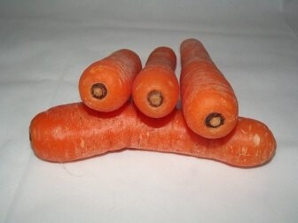 Quels sont les bienfaits des carottes ?