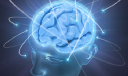 Cerveau sain 