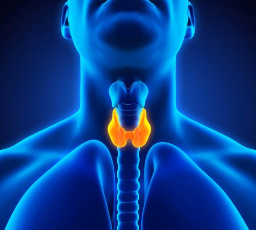 traitement contre l'hypothyroïdie chez la femme enceinte