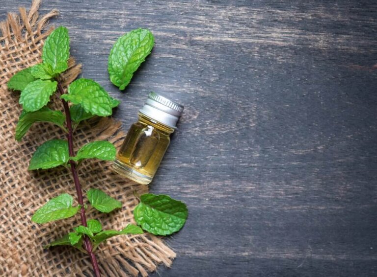 Découvrez les avantages de l'huile de menthe pour la santé