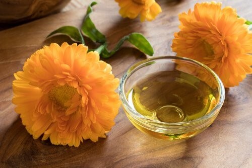 calendula contre le psoriasis