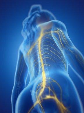 Qu'est-ce que l'hyperréflexie autonome ?