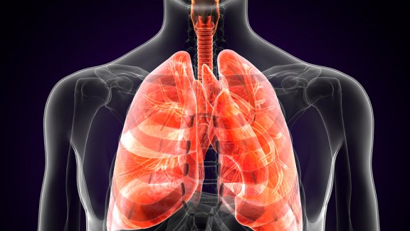 Qu’est-ce que la peste pulmonaire et quels sont ses symptômes ?
