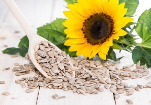 fromage végan aux graines de tournesol