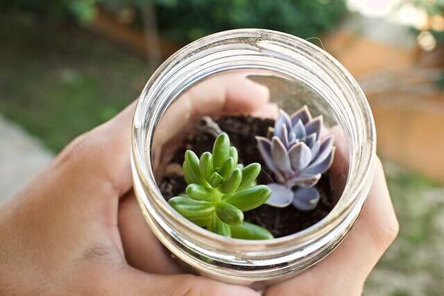 astuces pour un petit jardin