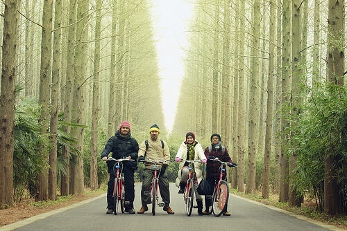 Se balader en forêt en famille