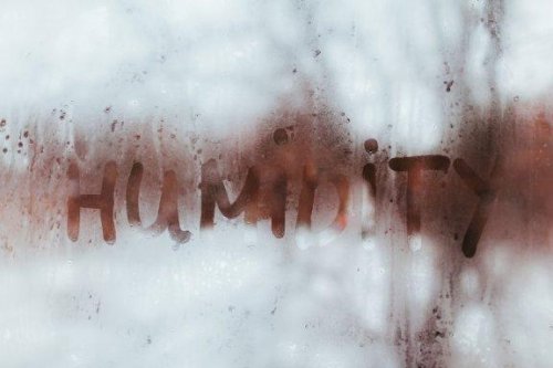 Humidité à la maison : les signaux d'alerte