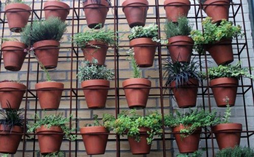 décorer son intérieur avec un jardin vertical 