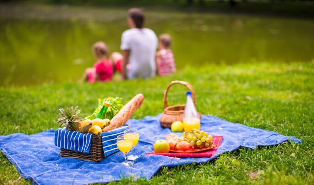 un après-midi pique-nique pour le premier anniversaire de votre enfant
