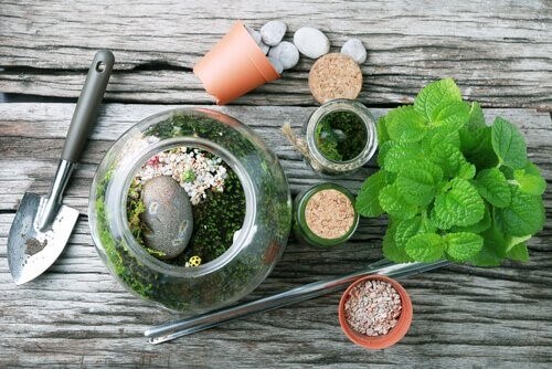 Des conseils pour fabriquer des terrariums pour votre intérieur