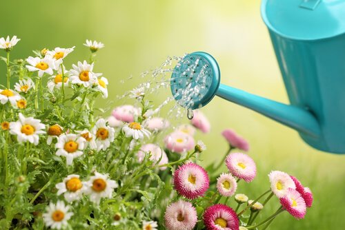 Fabriquez vos propres arrosoirs pour le jardin de manière simple et économique