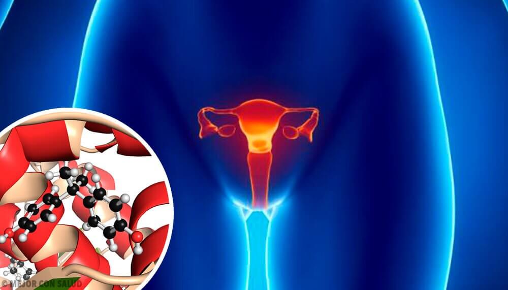 les hormones impliquées dans le cycle de l'ovulation : l'estradiol