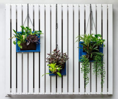 recycler des palettes en mur végétal pour décorer votre jardin