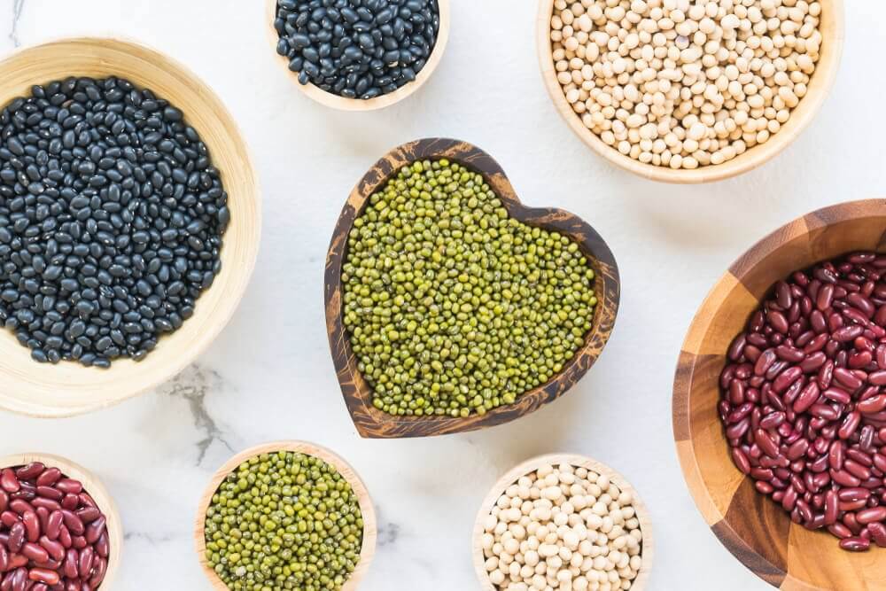 Les principales protéines végétales.