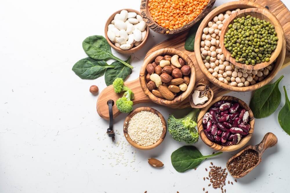 la qualité des protéines végétales