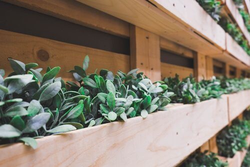 6 éléments que vous pouvez recycler pour décorer votre jardin