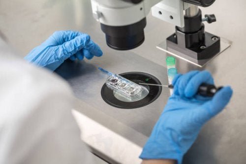 diagnostic génétique préimplantatoire