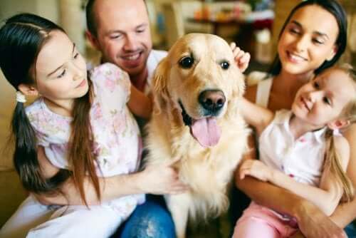 animal de compagnie et enfants