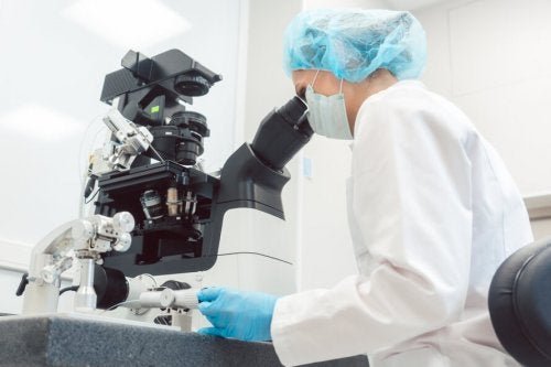 Le diagnostic génétique préimplantatoire (DGP)
