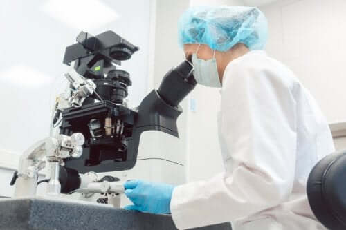 Le diagnostic génétique préimplantatoire (DGP)