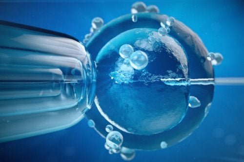 diagnostic génétique préimplantatoire