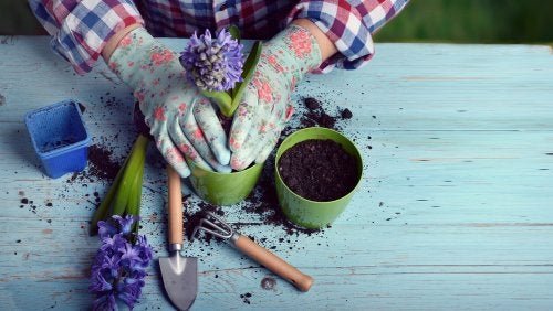 Connaissez-vous les bienfaits de pratiquer une passion ?