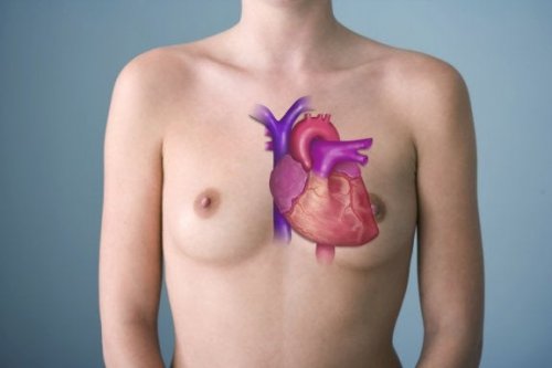 aller marcher améliore la santé du coeur