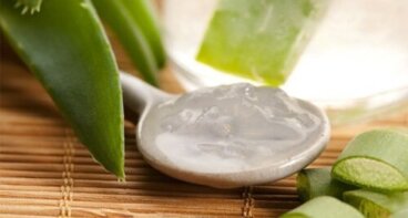 Comment préparer une crème végétale ? 5 recettes faciles