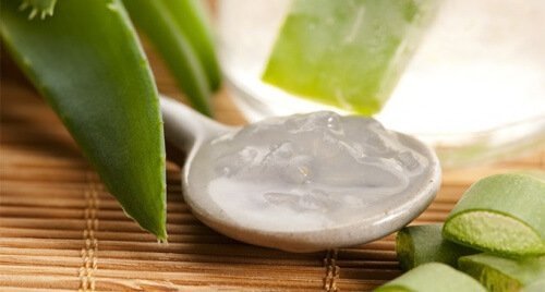Comment préparer une crème végétale ? 5 recettes faciles