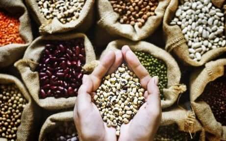 les légumineuses dans l'alimentation d'un sportif vegan