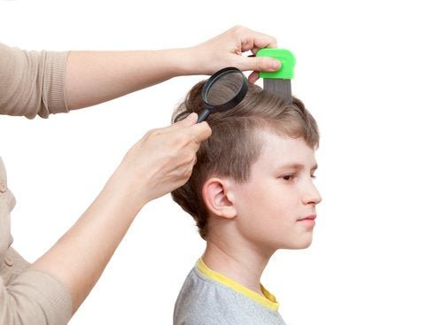 Eliminer les poux et les lentes grâce à un peigne adapté