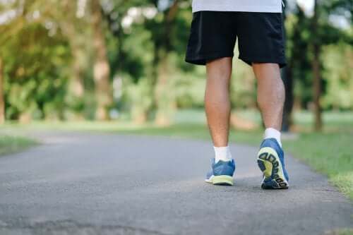 8 bonnes raisons d'aller marcher