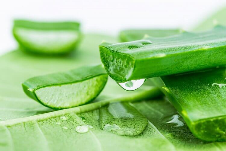 Le gel d'aloe vera est parfait pour hydrater et éclaircir la peau après des coups de soleil