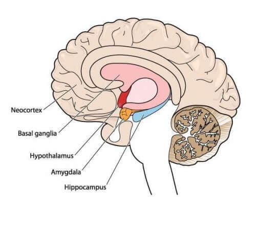 Athétose : le trouble du mouvement