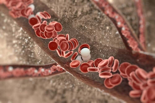 La lésion aortique est une blessure grave mais méconnue