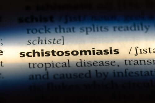 La schistosomiase : causes, symptômes et traitement