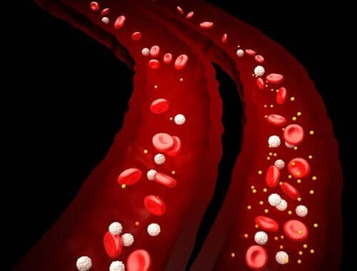 Le schéma d'un vaisseau sanguin