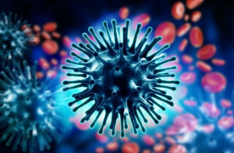 Une illustration du virus de la grippe