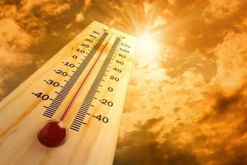 La chaleur trop forte peut altérer le mécanisme de régulation chez l'humain