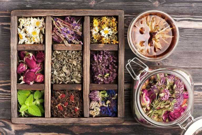 La phytothérapie et les plantes médicinales