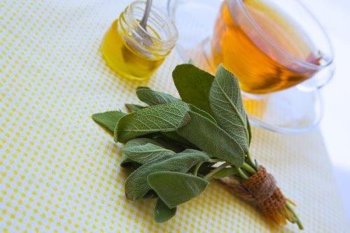 Un remède naturel à base de miel et de sauge pour soigner les éraflures
